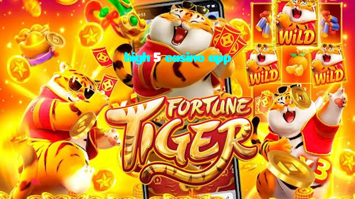 available types of high 5 casino app bet including pre-match live express and system bets